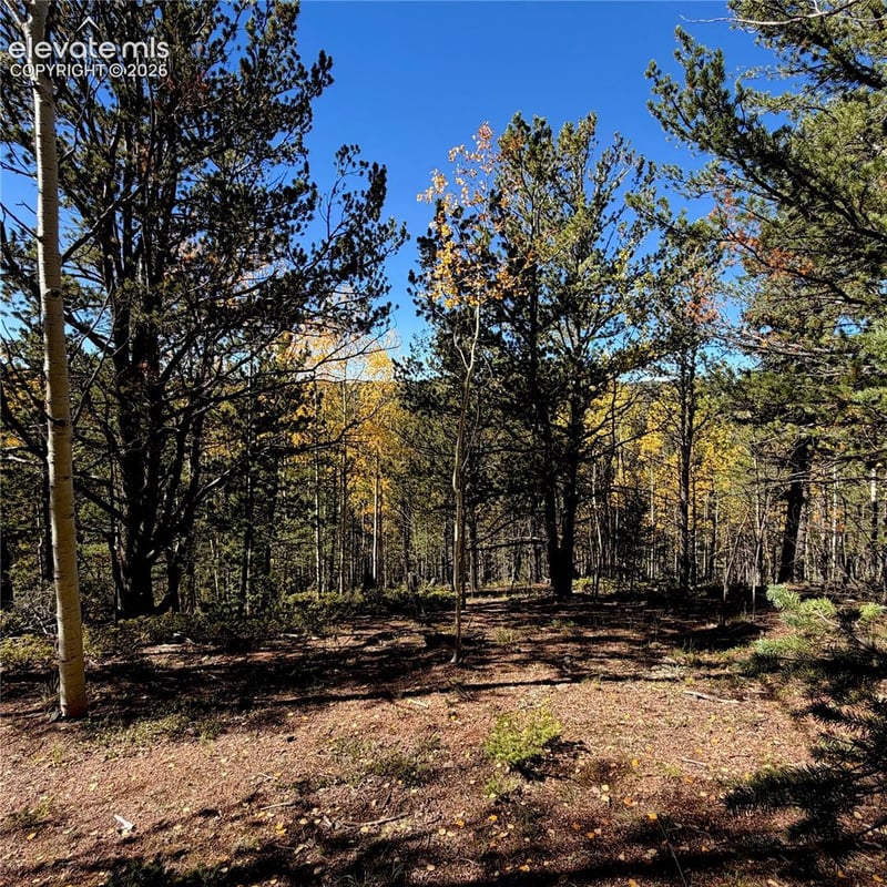 773 Timber Ridge Rd, Divide, CO 80814
