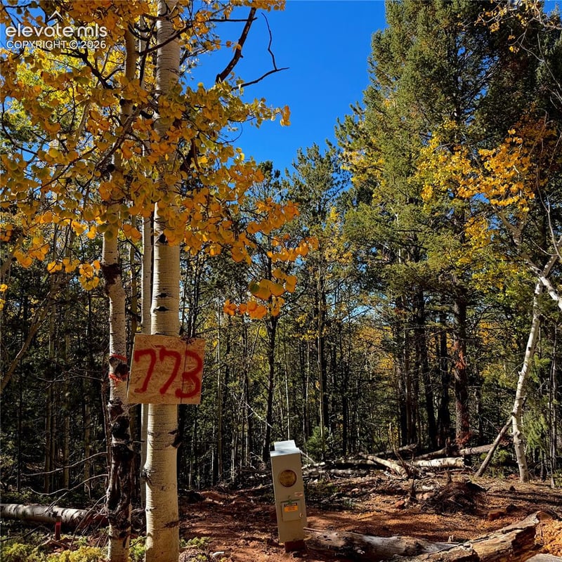 773 Timber Ridge Rd, Divide, CO 80814