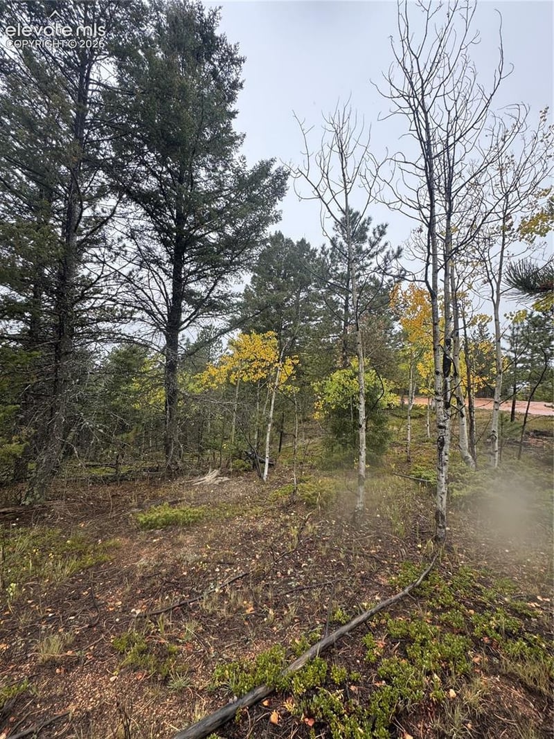 7935 County Road 51, Divide, CO 80814