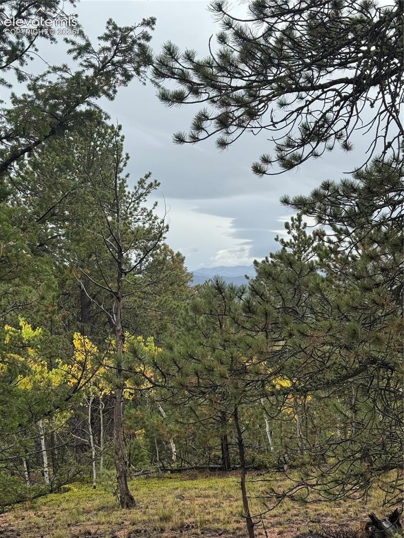 7935 County Road 51, Divide, CO 80814