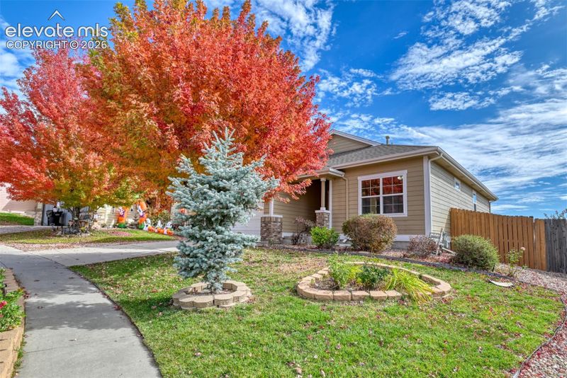7985 Kettle Drum St, Colorado Springs, CO 80922