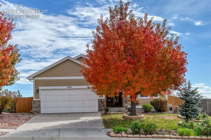 7985 Kettle Drum St, Colorado Springs, CO 80922