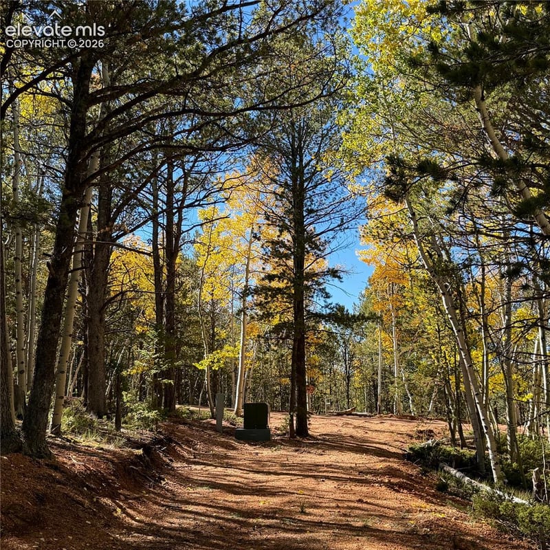 800 Timber Ridge Rd, Divide, CO 80814