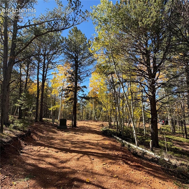 800 Timber Ridge Rd, Divide, CO 80814