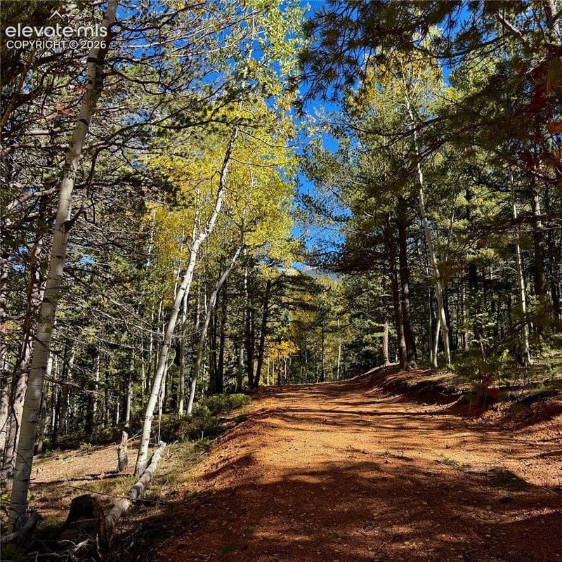 800 Timber Ridge Rd, Divide, CO 80814