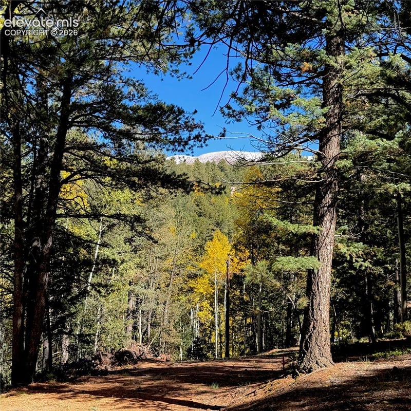 800 Timber Ridge Rd, Divide, CO 80814