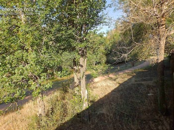803 Ridgebury Pl, Fountain, CO 80817