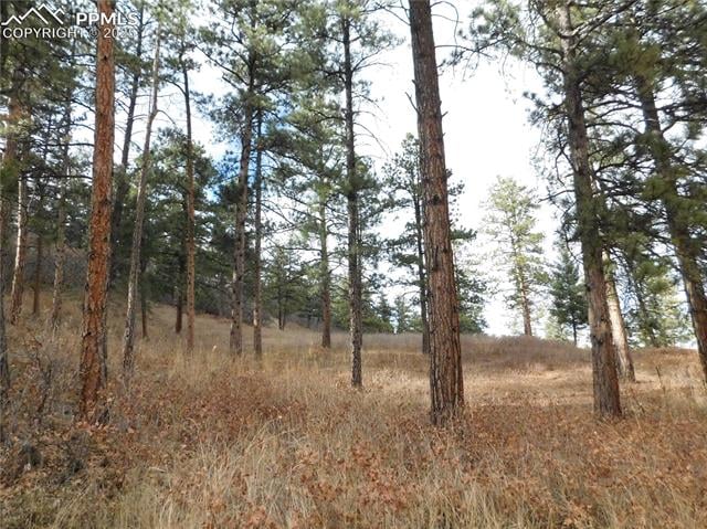 8055 Acoma Dr, Larkspur, CO 80118