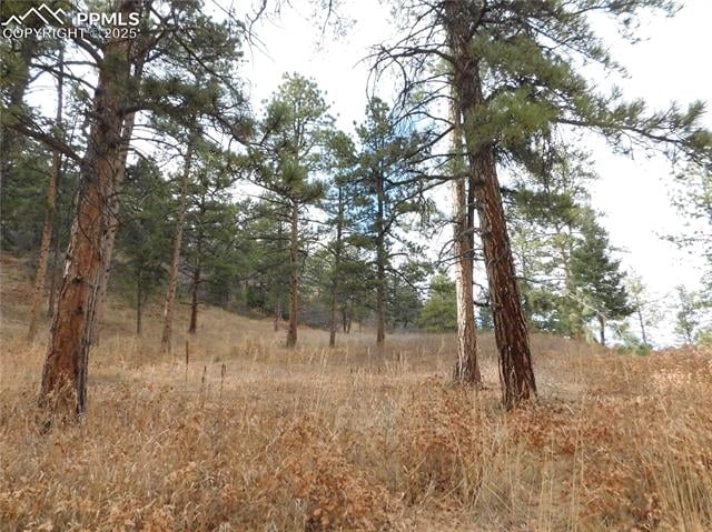 8055 Acoma Dr, Larkspur, CO 80118