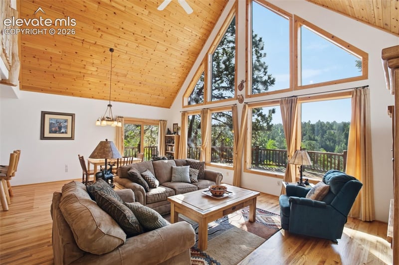 81 Pamona Lake Dr, Divide, CO 80814