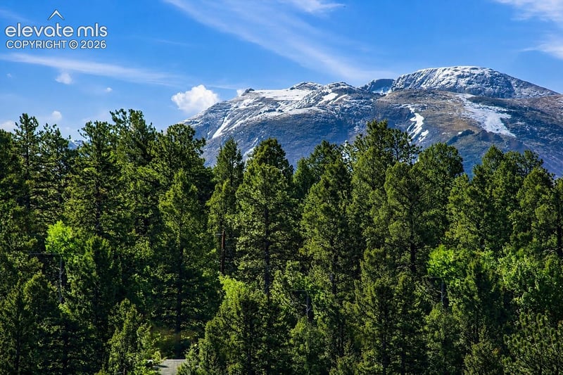 81 Pamona Lake Dr, Divide, CO 80814