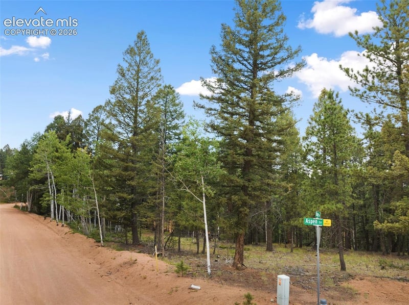 810 Ridge Rd, Divide, CO 80814
