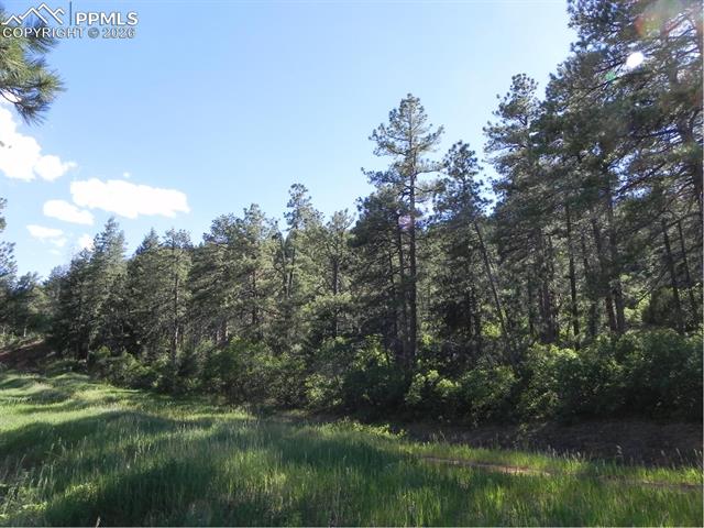 8117 Acoma Dr, Larkspur, CO 80118