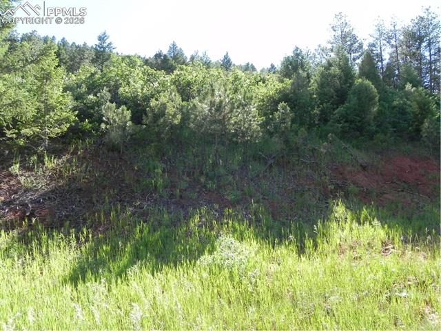 8117 Acoma Dr, Larkspur, CO 80118