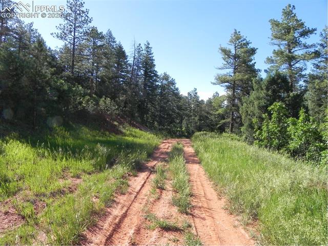 8117 Acoma Dr, Larkspur, CO 80118