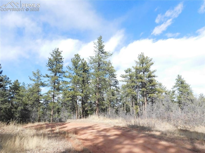 8122 Acoma Dr, Larkspur, CO 80118