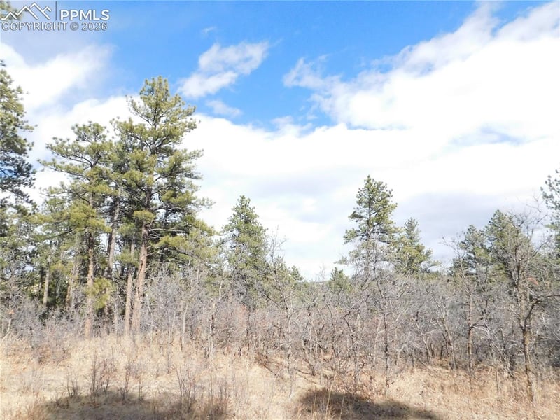 8122 Acoma Dr, Larkspur, CO 80118