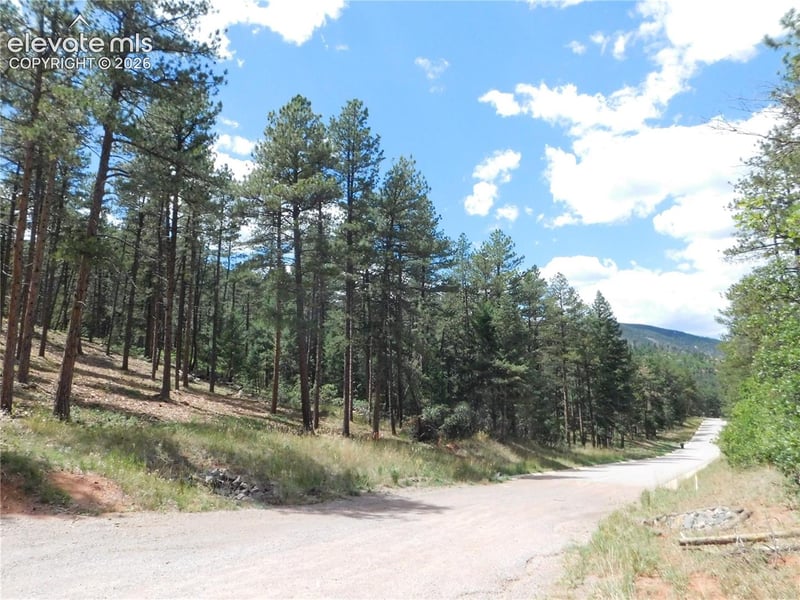 8139 Bannock Dr, Larkspur, CO 80118