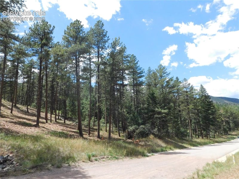 8139 Bannock Dr, Larkspur, CO 80118
