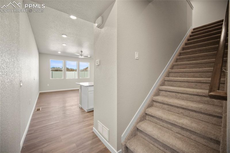 8155 Grey Bark Way, Colorado Springs, CO 80908