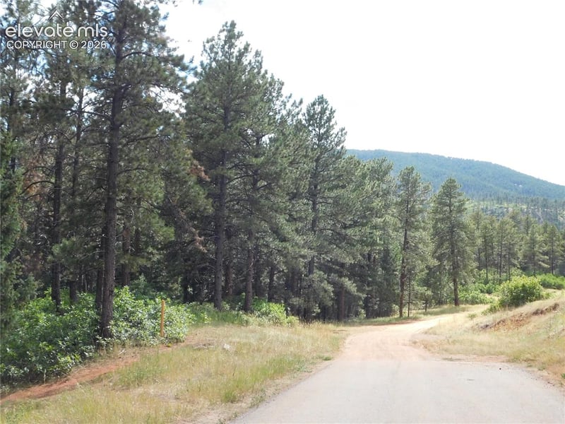 8169 Bannock Dr, Larkspur, CO 80118