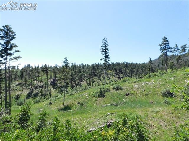 8249 Yuma Cir, Larkspur, CO 80118