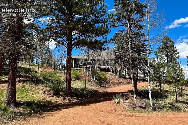 83 Pika Creek Trl, Florissant, CO 80816