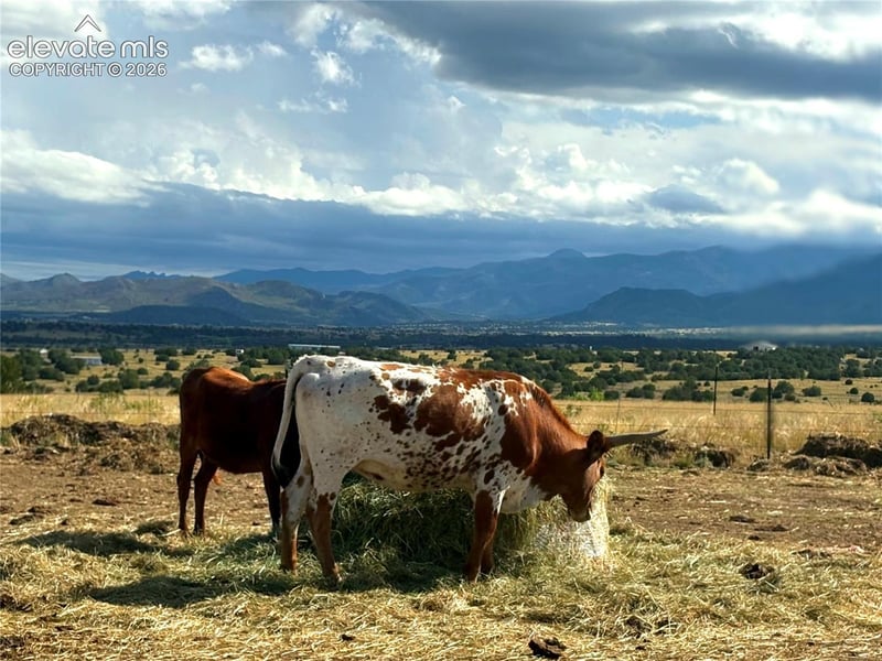 8650 Highway 67, Florence, CO 81226