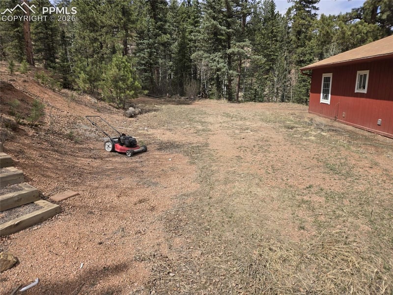 875 Obsidian Dr, Florissant, CO 80816
