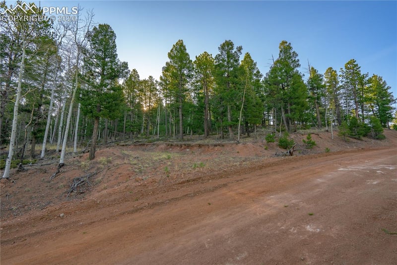 88 Malmsey Ln, Divide, CO 80814