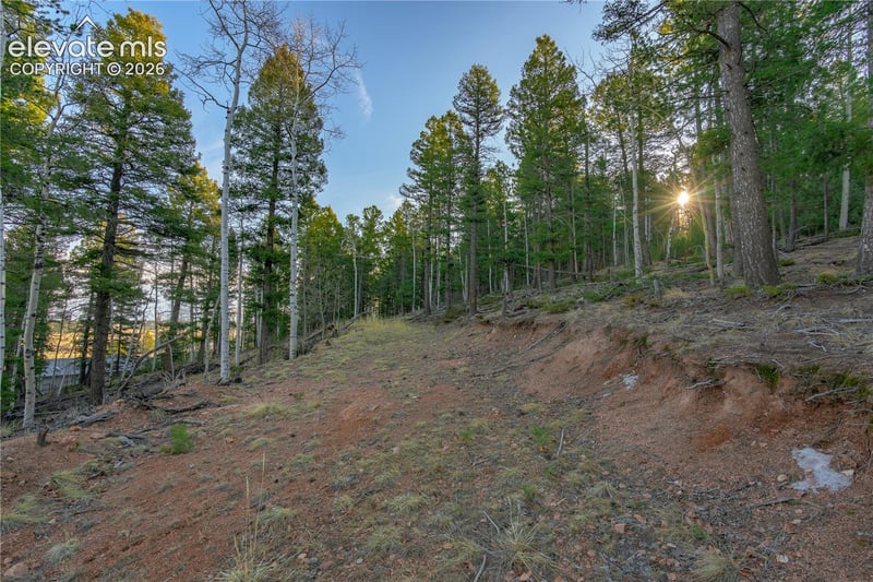 88 Malmsey Ln, Divide, CO 80814