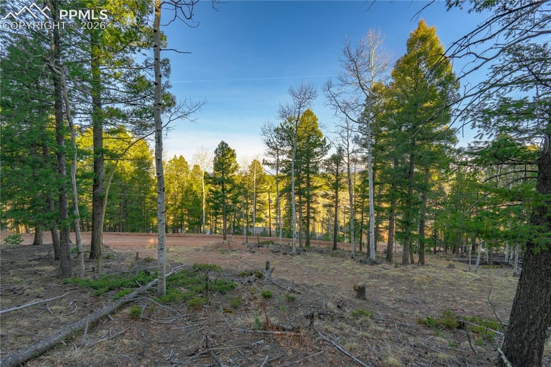 88 Malmsey Ln, Divide, CO 80814