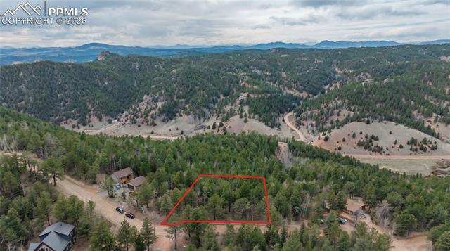 881 Timber Ridge Rd, Divide, CO 80814