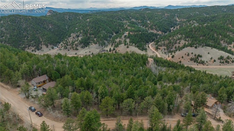 881 Timber Ridge Rd, Divide, CO 80814