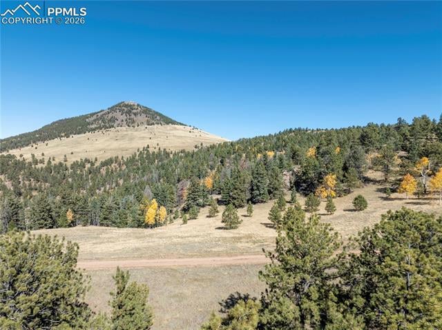 908 Penrose Cir, Cripple Creek, CO 80813