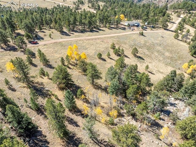 908 Penrose Cir, Cripple Creek, CO 80813