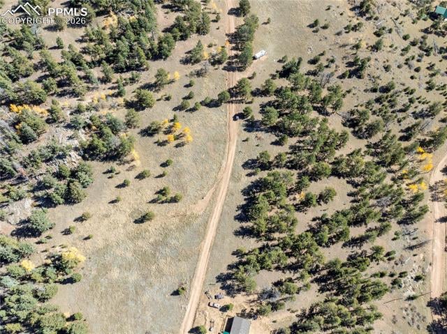 908 Penrose Cir, Cripple Creek, CO 80813