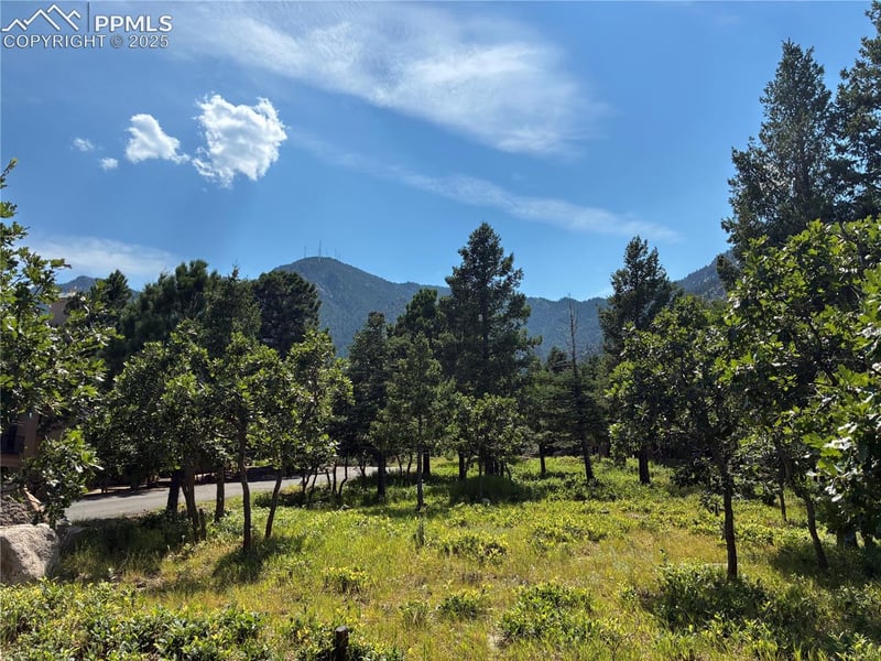 920 Grey Mountain Point, Colorado Springs, CO 80906