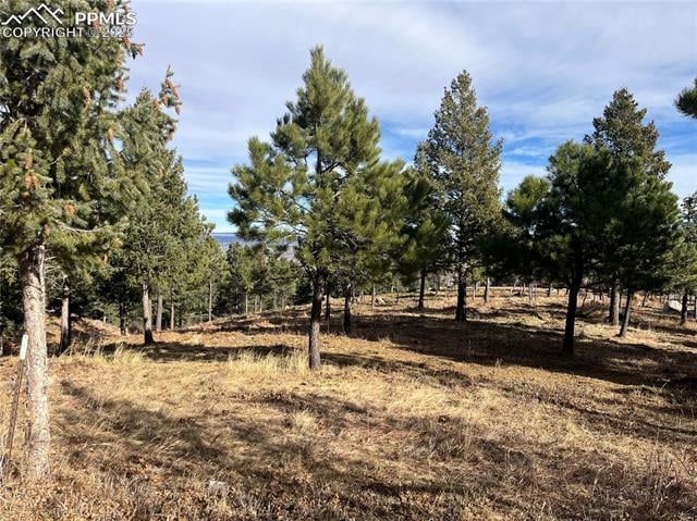 920 Grey Mountain Point, Colorado Springs, CO 80906