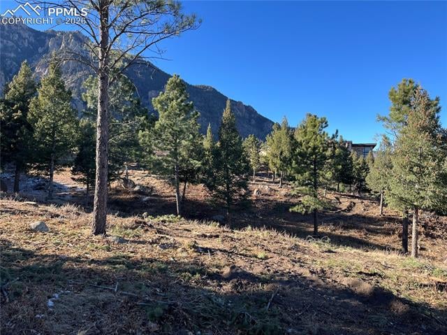920 Grey Mountain Point, Colorado Springs, CO 80906