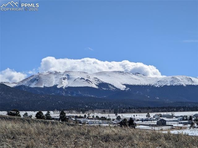 924 Will Scarlet Dr, Divide, CO 80814