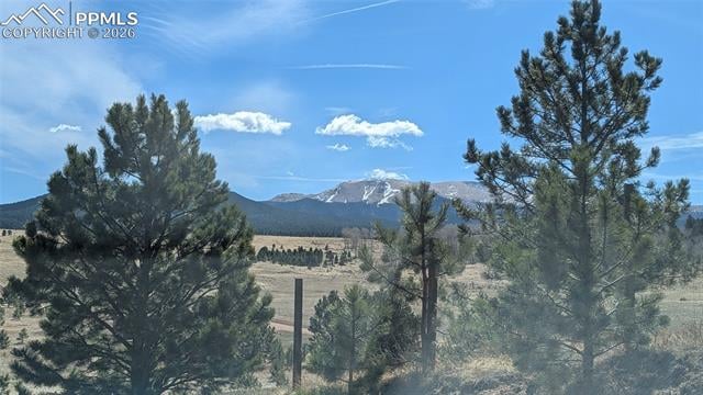 924 Will Scarlet Dr, Divide, CO 80814