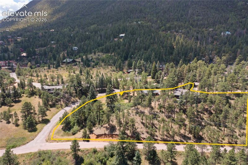 9340 Columbine Trl, Cascade, CO 80809