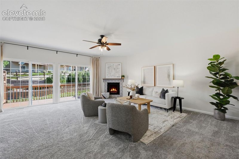 972 Burning Bush Point, Monument, CO 80132