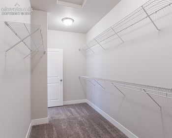 9733 Warrick St, Colorado Springs, CO 80924