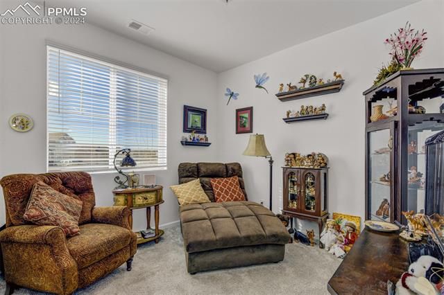 9897 Beckham St, Peyton, CO 80831
