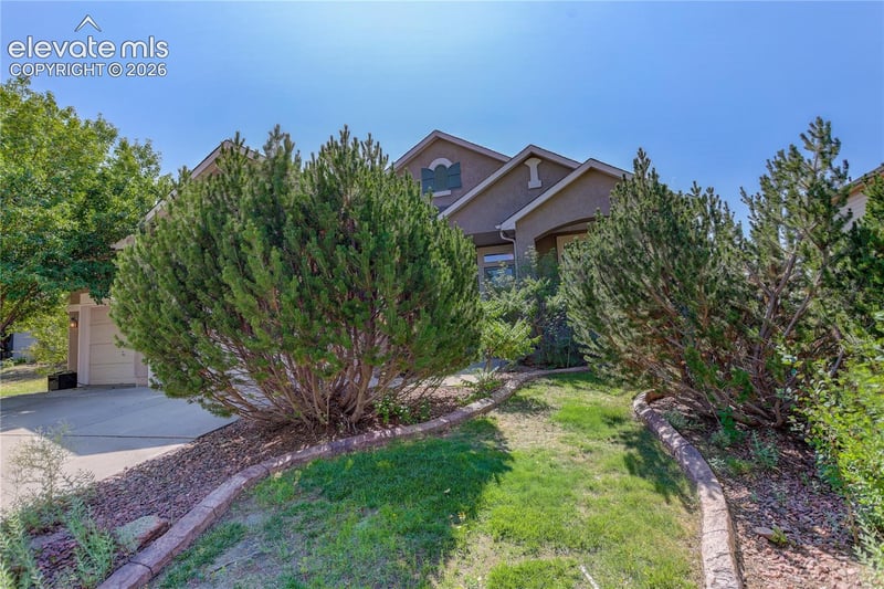 9923 Red Sage Dr, Colorado Springs, CO 80920