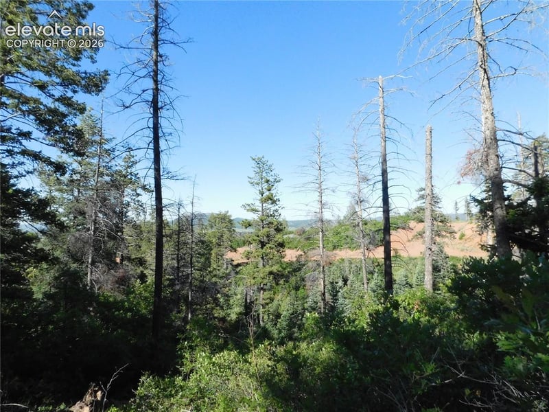 Lot 11 Cheyenne Dr, Larkspur, CO 80118