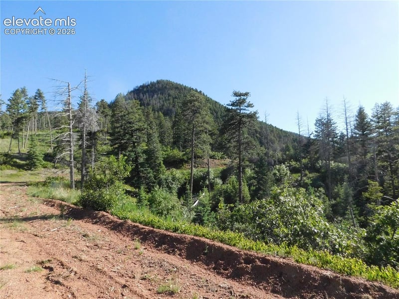 Lot 11 Cheyenne Dr, Larkspur, CO 80118