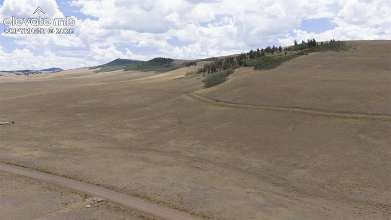 Lot 3912 County Road 53, Hartsel, CO 80449